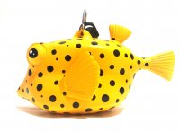 Boxfish Octopus Holder size: 7x11x5.5cm (F05)