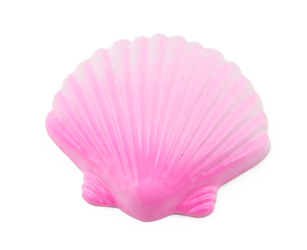 1Kg Weight - Shell Shaped - Pink (Ai0668PK) 1Kg Weight - Shell Shaped - Pink (Ai0668PK)