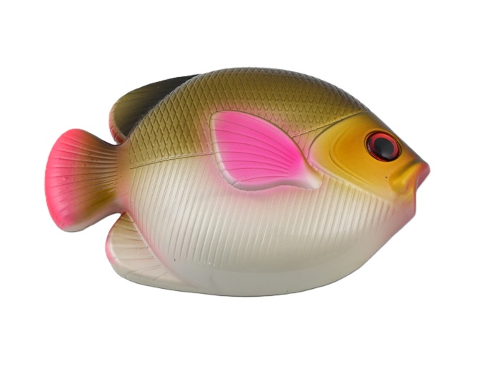 1Kg Weight - Black Fish Shaped - Black Top (Ai0669BK) 1Kg Weight - Black Fish Shaped - Black Top (Ai0669BK)