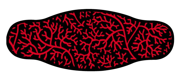 Neoprene Mask Strap - Reef - double layer (IN/REEF) Neoprene Mask Strap - Reef - double layer (IN/REEF)